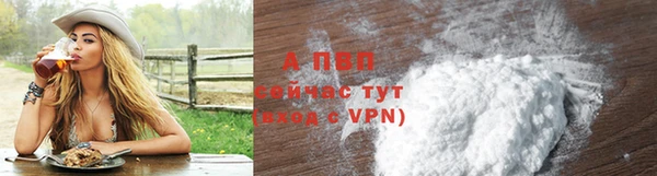 мдпв Бородино