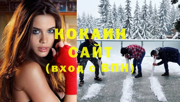 мдпв Бородино