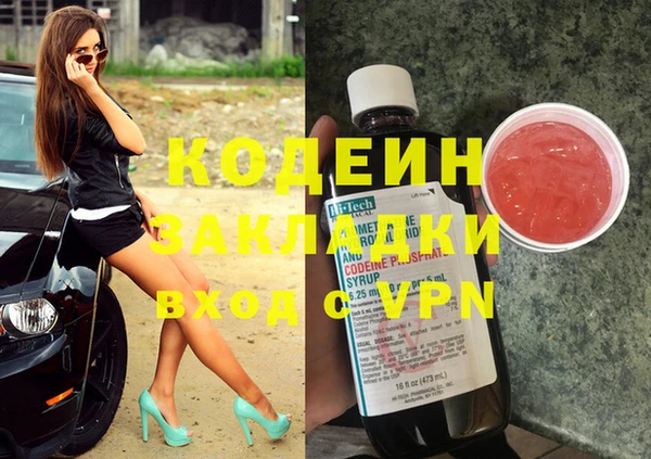 мдпв Бородино