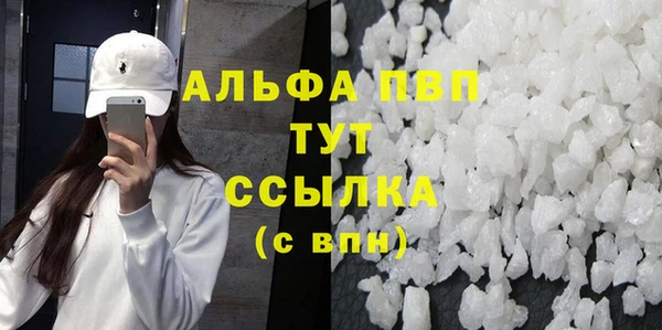 мдпв Бородино
