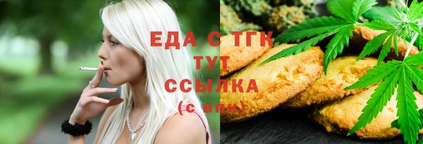 мдпв Бородино