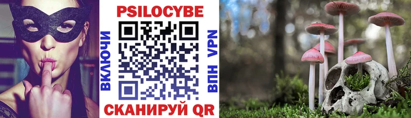 МЕГА вход  продажа наркотиков  Верхотурье  Псилоцибиновые грибы мицелий 