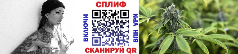 где купить наркотик  Верхотурье  Канабис Ganja 